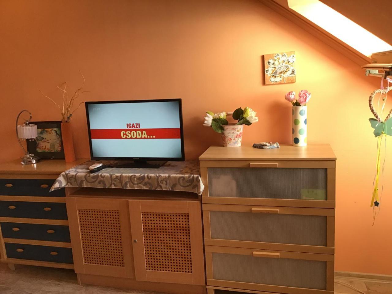 Family Wellness Apartman Hajdúszoboszló Kültér fotó